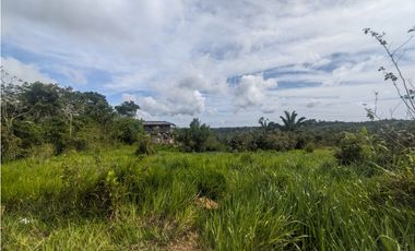 Finca en venta de 70 HAS en Nuevo Arenosa (DR)