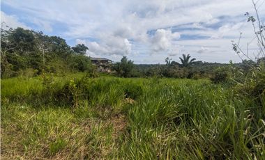 Finca en venta de 70 HAS en Nuevo Arenosa (DR)
