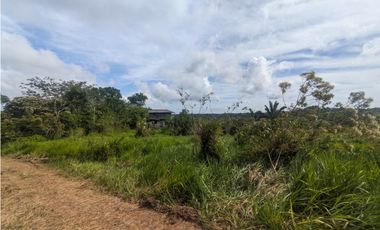 Finca en venta de 70 HAS en Nuevo Arenosa (DR)