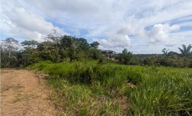 Finca en venta de 70 HAS en Nuevo Arenosa (DR)
