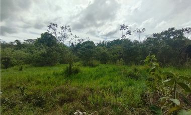 Finca en venta de 70 HAS en Nuevo Arenosa (DR)