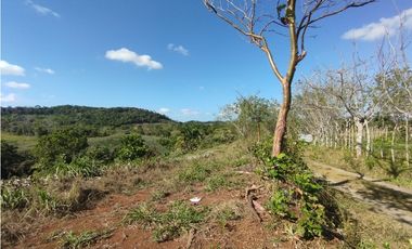 Se Vende Finca de 25 Has Caimitillo La Chorrera (DR)