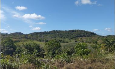 Se Vende Finca de 25 Has Caimitillo La Chorrera (DR)