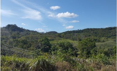 Se Vende Finca de 25 Has Caimitillo La Chorrera (DR)