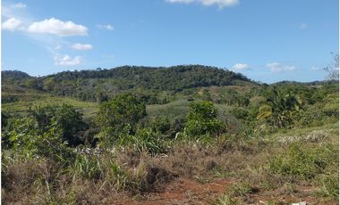 Se Vende Finca de 25 Has Caimitillo La Chorrera (DR)
