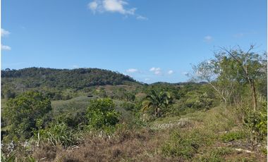 Se Vende Finca de 25 Has Caimitillo La Chorrera (DR)