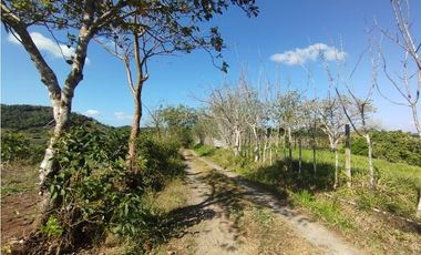 Se Vende Finca de 25 Has Caimitillo La Chorrera (DR)