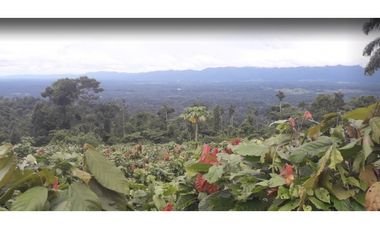 FUNDO PLANO Y FÉRTIL DE 152 HA. EN ISCOZACN - PALCAZÚ / OXAPAMPA