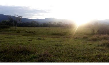 FUNDO PLANO Y FÉRTIL DE 152 HA. EN ISCOZACN - PALCAZÚ / OXAPAMPA