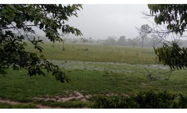 FUNDO PLANO Y FÉRTIL DE 152 HA. EN ISCOZACN - PALCAZÚ / OXAPAMPA