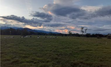 FUNDO PLANO Y FÉRTIL DE 152 HA. EN ISCOZACN - PALCAZÚ / OXAPAMPA