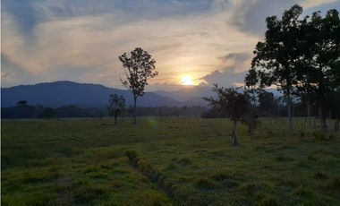FUNDO PLANO Y FÉRTIL DE 152 HA. EN ISCOZACN - PALCAZÚ / OXAPAMPA