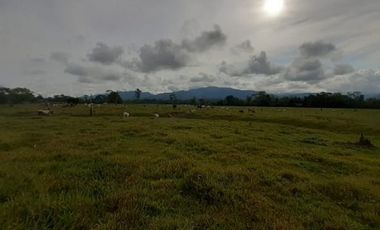 FUNDO PLANO Y FÉRTIL DE 152 HA. EN ISCOZACN - PALCAZÚ / OXAPAMPA