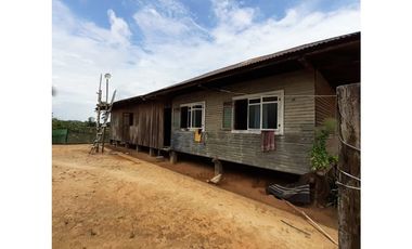 FUNDO PLANO Y FÉRTIL DE 152 HA. EN ISCOZACN - PALCAZÚ / OXAPAMPA