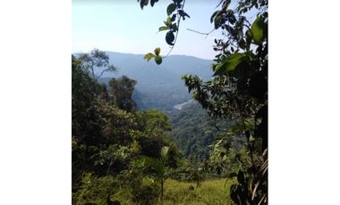 FUNDO PLANO Y FÉRTIL DE 152 HA. EN ISCOZACN - PALCAZÚ / OXAPAMPA