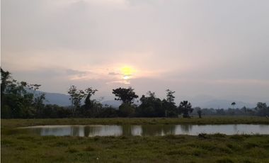 FUNDO PLANO Y FÉRTIL DE 152 HA. EN ISCOZACN - PALCAZÚ / OXAPAMPA
