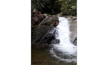 FUNDO PLANO Y FÉRTIL DE 152 HA. EN ISCOZACN - PALCAZÚ / OXAPAMPA