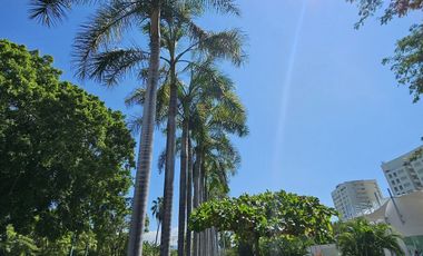 Penthouse Frente a la Playa en Ixtapa