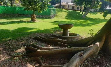 🌳 Casa en Rancho Tetela con 5,873 m² de Jardines y Amenidades$25,000,000