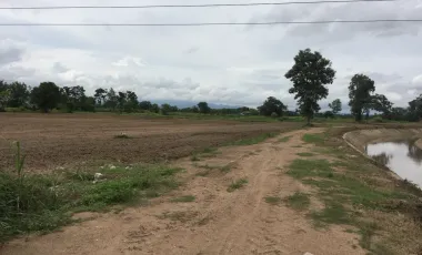 Land for sale in Dong Mada, Chiang Rai
