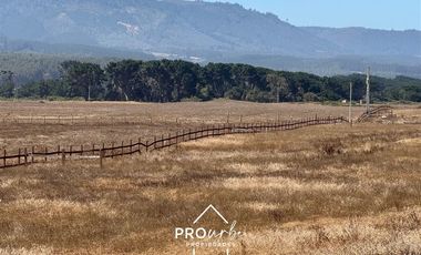 Sitio en Venta en Arcos de Calan a 250 metros, condominio Costa Calan Tregualemu LT 2 Sitio 45