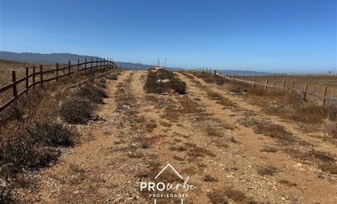 Sitio en Venta en Arcos de Calan a 250 metros, condominio Costa Calan Tregualemu LT 2 Sitio 45