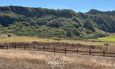 Sitio en Venta en Arcos de Calan a 250 metros, condominio Costa Calan Tregualemu LT 2 Sitio 45