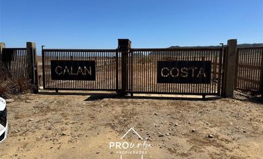 Sitio en Venta en Arcos de Calan a 250 metros, condominio Costa Calan Tregualemu LT 2 Sitio 45