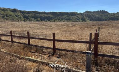 Sitio en Venta en Arcos de Calan a 250 metros, condominio Costa Calan Tregualemu LT 2 Sitio 45