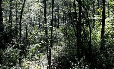 Parcela en Venta en Camino El Volcán Lote 3-A Zanjón Seco Pucón