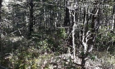 Parcela en Venta en Camino El Volcán Lote 3-A Zanjón Seco Pucón