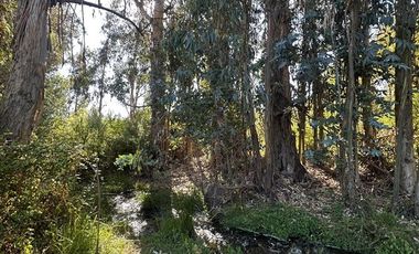 Parcela en Venta en Carretera k45 - sector Queseria
