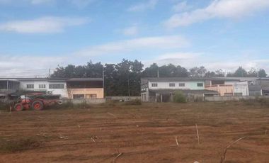 Land for sale in Wiang, Chiang Rai