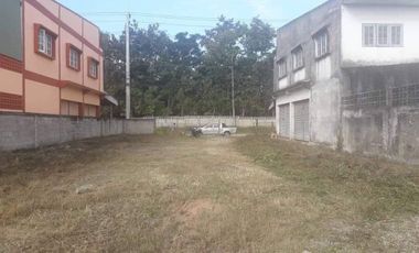 Land for sale in Wiang, Chiang Rai