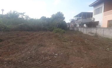 Land for sale in Wiang, Chiang Rai