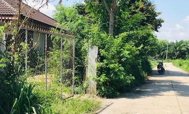 Land for sale in Pha Ngam, Chiang Rai