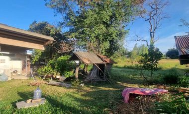 Land for sale in Ban Fang, Khon Kaen