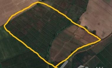 Land for sale in , Chiang Rai