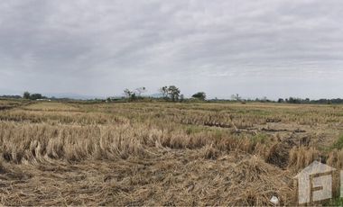 Land for sale in , Chiang Rai