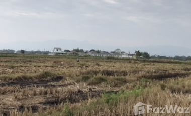 Land for sale in , Chiang Rai