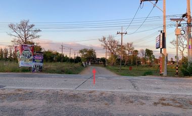 Land for sale in Ban Thum, Khon Kaen