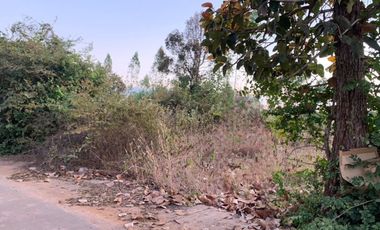 Land for sale in Ban Thum, Khon Kaen