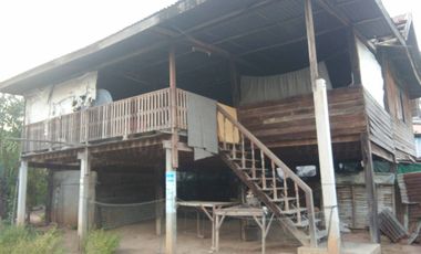 Land for sale in Chonnabot, Khon Kaen