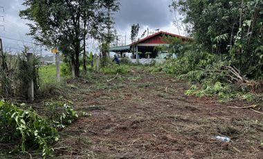 Land for sale in Kut Nam Sai, Khon Kaen