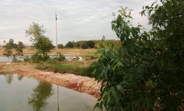 Land for sale in Don Han, Khon Kaen