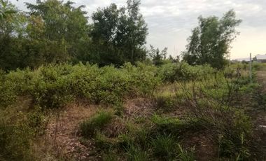 Land for sale in Don Han, Khon Kaen