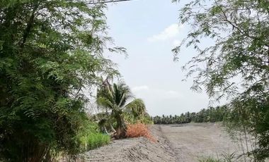 Land for sale in Lak Sam, Samut Sakhon