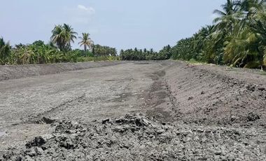 Land for sale in Lak Sam, Samut Sakhon