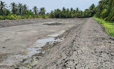 Land for sale in Lak Sam, Samut Sakhon