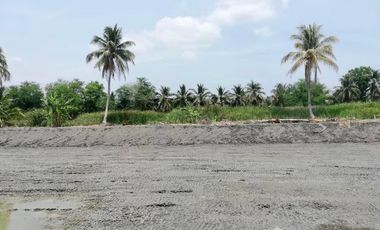 Land for sale in Lak Sam, Samut Sakhon